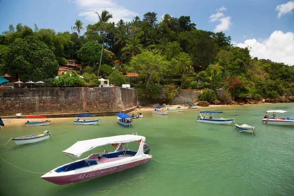 Yazın plaj manzarası ve tropik deniz manzarası