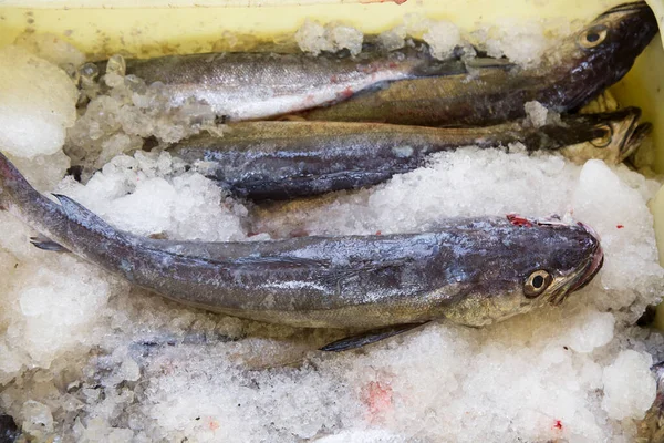 Buz içinde belgili tanımlık çarşı üstünde taze çiğ balık