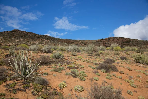 Dağların güzel manzarası
