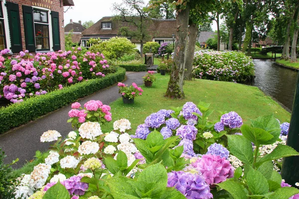Hollanda 'daki Giethoorn köyünün sakin manzarası