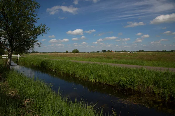 Nehir ve gölü olan güzel bir manzara.