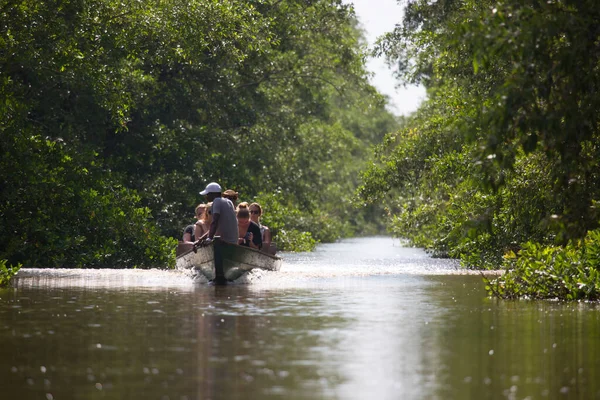 travel concept, tourists discover nature