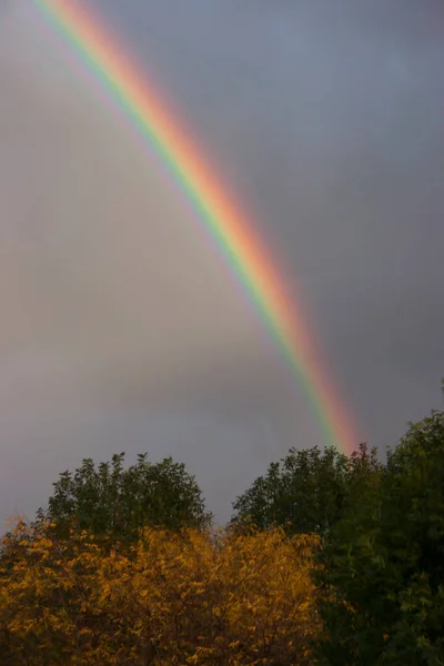 Schöner Regenbogen Park — Stockfoto