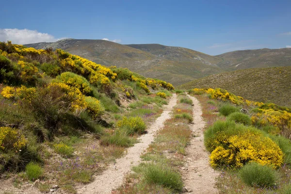 Dağların güzel manzarası. 