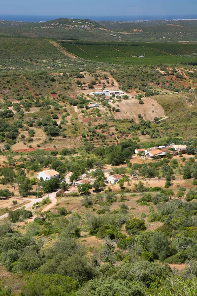Tarlaları ve meyve bahçeleri olan tepelik tarlalara bak