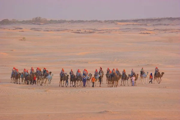 Vista Pessoas Montando Camelos Deserto — Fotografia de Stock