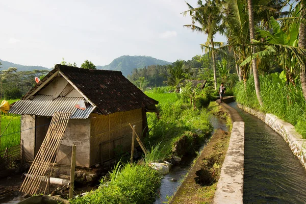 Arkasında dağlar olan güzel bir manzara.