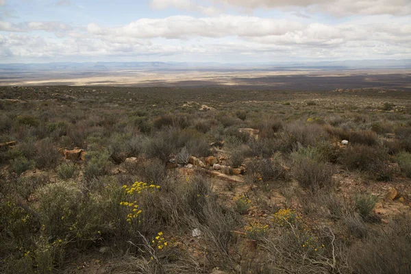 Güzel çöl manzarası
