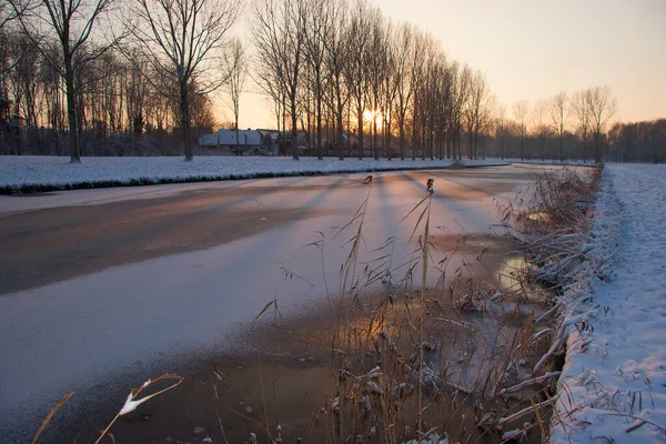 Kış mevsiminde bir park manzarası