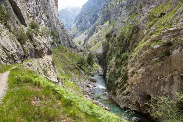 Dağların güzel manzarası