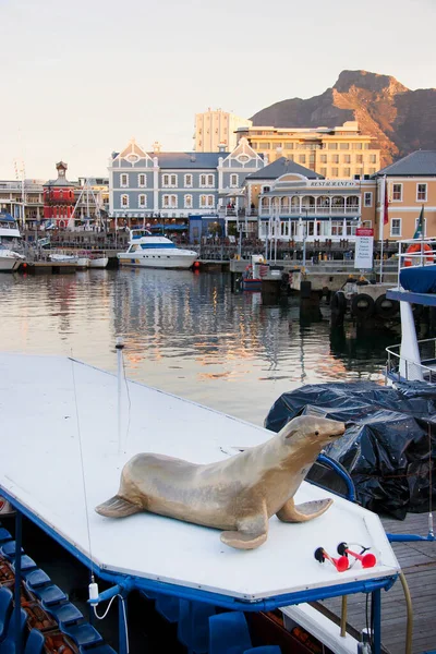 Capetown 'un güzel manzarası 