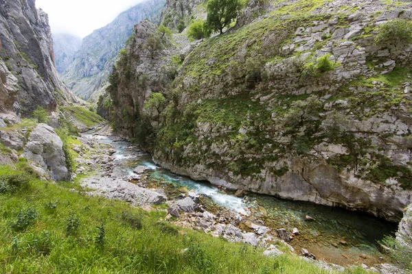 Dağlardaki güzel dağ nehri