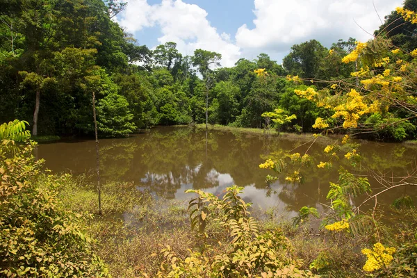 Hermosa Vista Del Río Parque —  Fotos de Stock