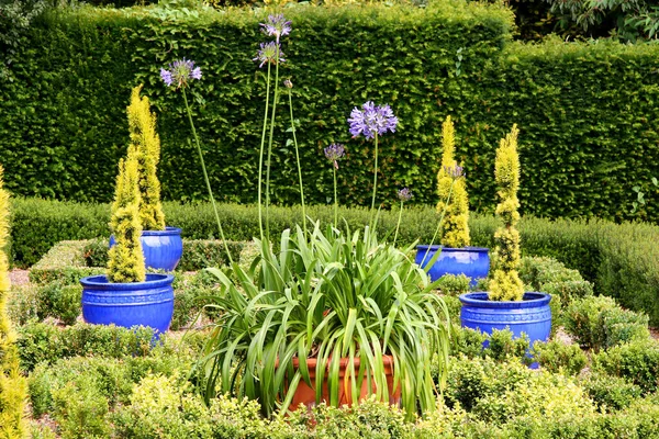 Bellissimo Giardino Con Fiori Piante — Foto Stock