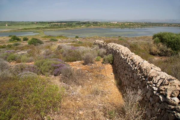 Doğa sahnesinin resimsel görüntüsü