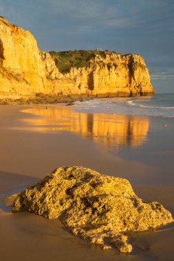 Kayalık kıyılar, kayalıklar ve kayalar denizlerde