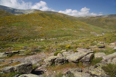 Dağların güzel manzarası