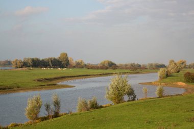 Nehirli güzel bir manzara
