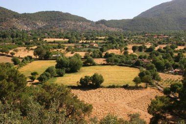 Arkasında bir dağ olan güzel bir manzara.