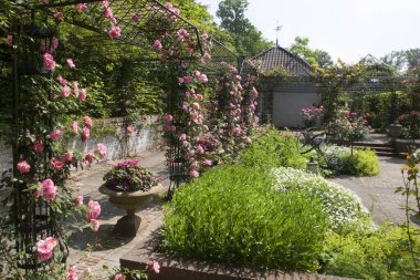 Çiçekli yemyeşil bahçe sahnesi