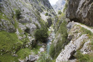 Dağ nehrinin güzel manzarası