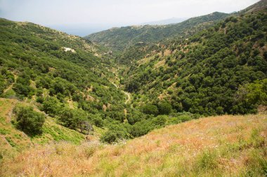 Güneş ışığındaki güzel yeşil dağların manzarası