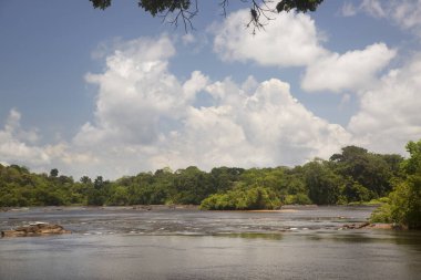 Nehir ve tropik yeşilliklerle dolu güzel bir manzara.