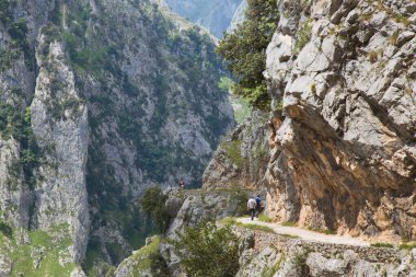 Dağlarda yürüyüşçüler, Kuzey İspanya.
