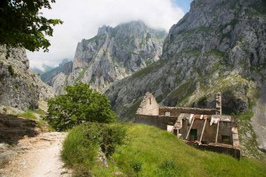 Görkemli ortaçağ mimarisinin manzarası