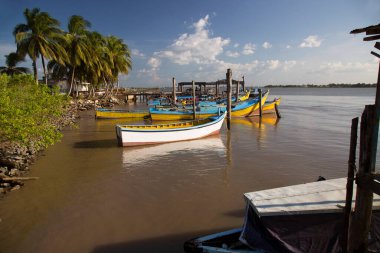 Güneş ışığında kıyıya demirlemiş balıkçı teknelerinin manzarası