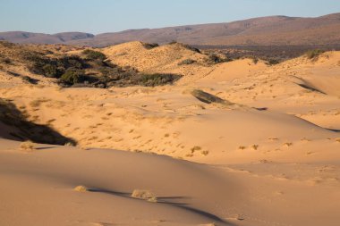 Çölün güzel manzarası