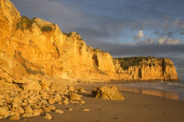 Kayalık kıyılar, kayalıklar ve kayalar denizlerde