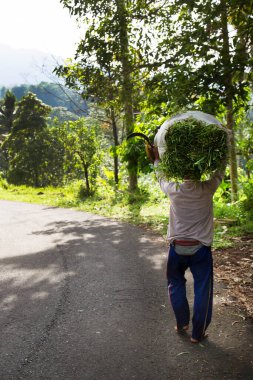 Sahadaki kişi kafasında çanta taşıyor, seyahat fotoğrafı çekiyor.