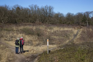 Dağlarda bir grup yürüyüşçü 