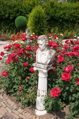 Botanik bahçesi manzaralı, heykeller ve çiçek açan.