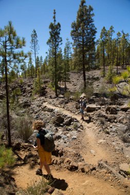 Dağlarda sırt çantalı tanınmayan turistler. Dağlarda sonbahar konsepti.