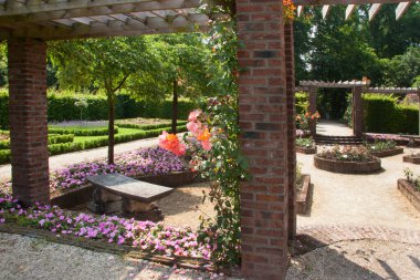 Gün ışığında çiçek açan güzel bahçe sahnesi