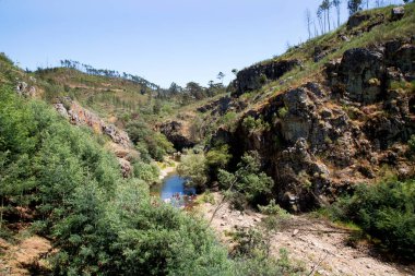güzel yemyeşil dağ manzarası 