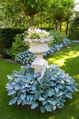 Yazın güzel bir bahçe