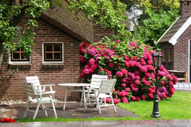 Hollanda 'daki Giethoorn köyünün sakin manzarası