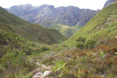 Dağları ve mavi gökyüzü olan güzel bir manzara. 