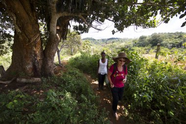 Dağ ormanlarında yürüyüş yapan insanlar