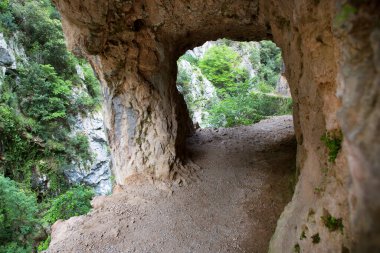 İsrail Eyaleti Adası 'ndaki mağaranın güzel manzarası.
