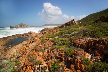 Güzel kıyı şeridi ve okyanus manzarası. 