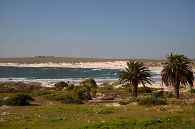 Deniz kıyısının güzel manzarası 