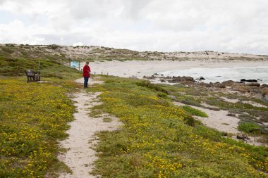 Deniz kıyısındaki beyaz kadın.