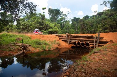 Tropikal ormanda nehir üzerinde köprü