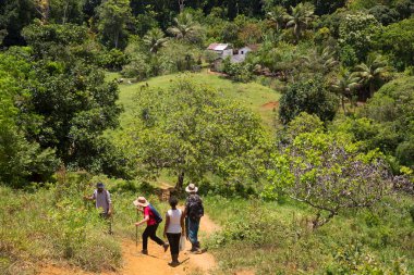 yemyeşil bir sahnede yürüyüş yapan bir grup insan, seyahat çekimleri.