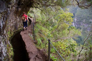 Madeira adasının tipik beton Levada sulama kanalı aynı zamanda orman volkanik dağları boyunca turistik bir yürüyüş rotasıdır.