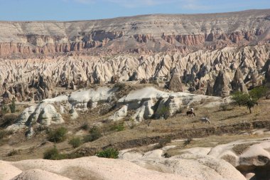 Kapadokya Türkiye 'nin ünlü antik kaya evleri